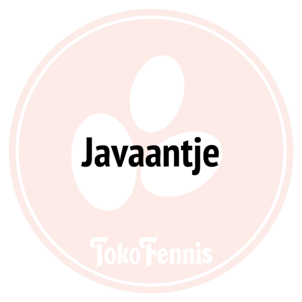 Javaantje
