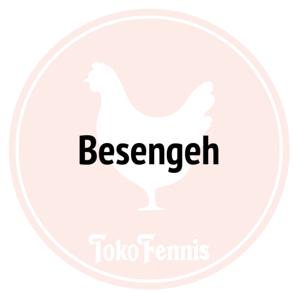 Kip Besengeh