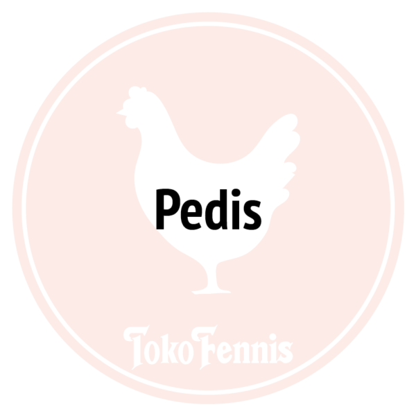 Kip Pedis